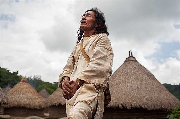 Bộ tộc Kogi không áp dụng bất cứ biện pháp khoa học kỹ thuật cũng như hóa chất nào vào việc trồng trọt. Họ gieo trồng rất đơn sơ, tự nhiên và đặc biệt là không có sự tích trữ lương thực.