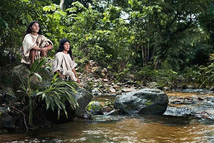 Với lối sống an nhiên, tự tại, nên nười Kogi có tuổi thọ rất cao, trung bình lên tới 100 tuổi. Họ gần như không có bệnh tật, ngay cả sâu răng cũng không có ai bị. 