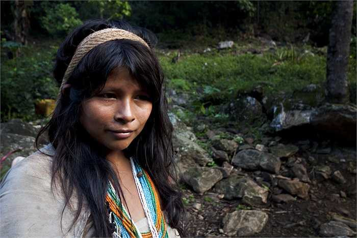 Các nhà khảo cổ học, dân tộc học cũng đã khẳng định rằng, tộc người Kogi có nền văn hóa cách chúng ta rất nhiều thế kỷ. Họ là hậu duệ của một nền văn minh rực rỡ cổ xưa. 