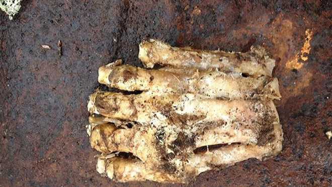 big foot