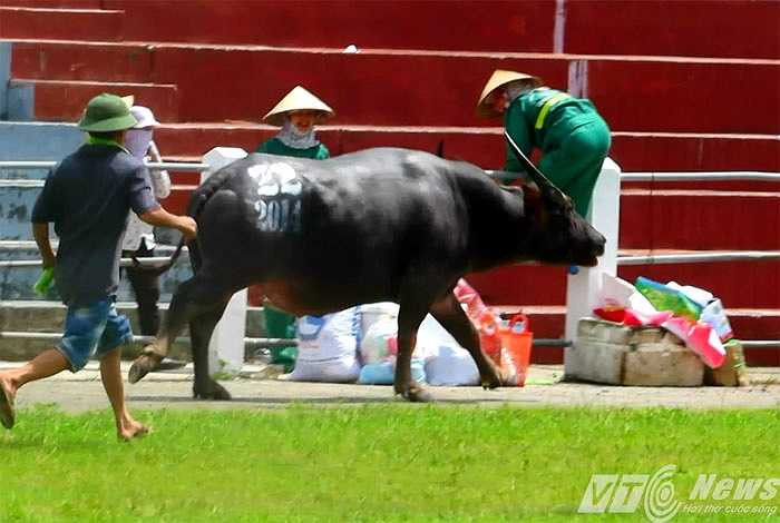 Tình huống nguy hiểm