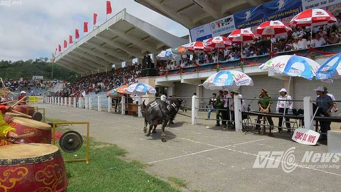 Nơi Ban Tổ chức, PV và lực lượng chức năng làm nhiệm vụ 2 lần bị các 'ông trâu' 'hỏi thăm'
