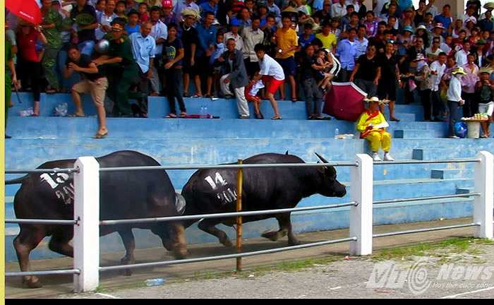 Khán giả được một phen thót tim