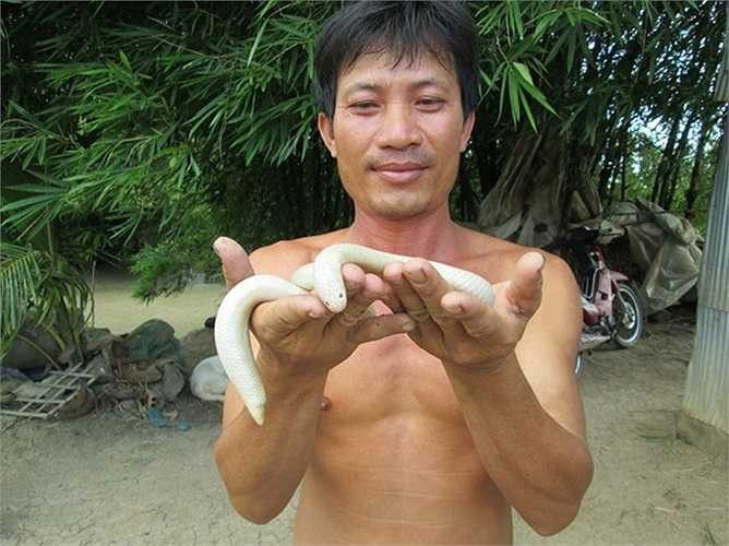 Anh Em cho biết lúc phát hiện có vật gì trắng trắng nằm trong bụi cỏ nên anh lấy cây đụng nhẹ thì nó bò ra, lúc này mới biết đó là rắn. Từ trước đến nay chưa từng thấy rắn kỳ lạ như vậy nên anh Em sợ hãi bỏ chạy. 