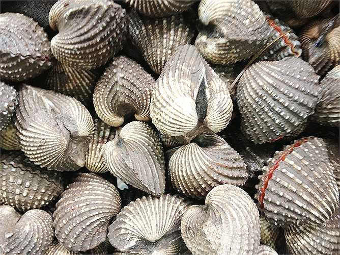 4. Sò huyết được coi là một món ăn ngon được nhiều người ưa thích. Thế nhưng bên trong sò chứa rất nhiều các loại vi khuẩn và virus gây bệnh. Sò huyết mang trong mình vi khuẩn viêm gan và thương hàn. 