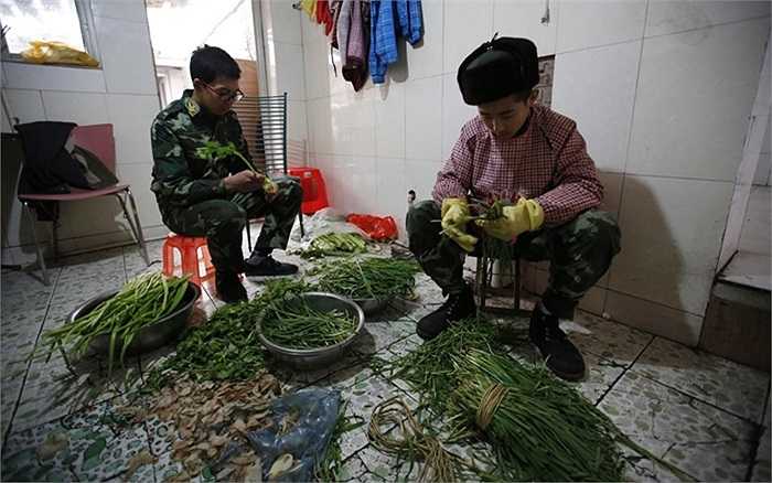 Có lẽ ở nhà những công việc như thế này ít ai trong các em phải làm