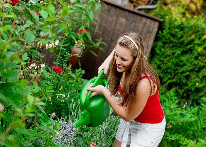 Làm vườn: Làm vườn là một cách khác để giảm cân. Làm cỏ giúp bạn đốt cháy khoảng 115 calo trong vòng nửa giờ và cào đất đốt cháy 225 calo trong 15 phút.
