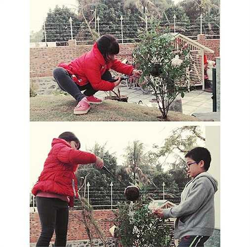 Trong căn nhà mới này họ trồng hoa và các cây cảnh.