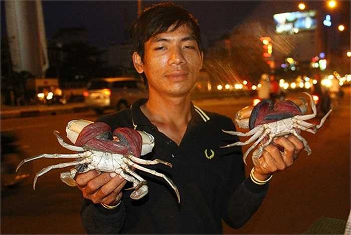 Cầm cua ra đường để chào hàng, một thanh niên bán cua biển Cà Mau trên đường Điện Biên Phủ, Bình Thạnh khẳng định đây là cua Cà Mau xịn. Anh cho biết, giá cua rẻ là do lấy tận gốc. 'Cua được đựng trong các thùng xốp vận chuyển bằng xe đò từ Cà Mau lên, mỗi ngày một chuyến, bán bao nhiêu lấy bấy nhiêu , trung bình mỗi ngày tôi bán hơn 100 con', anh nói. 