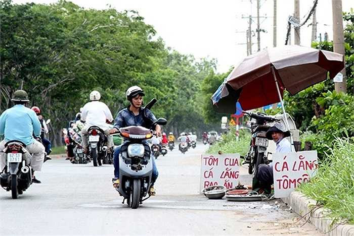 Ngoài cua Cà Mau, trên đường Nguyễn Văn Linh, (quận 7) nhiều loại đặc sản khác như cá lăng, tôm sông ... cũng được bày bán rất nhiều với giá rẻ không ngờ.