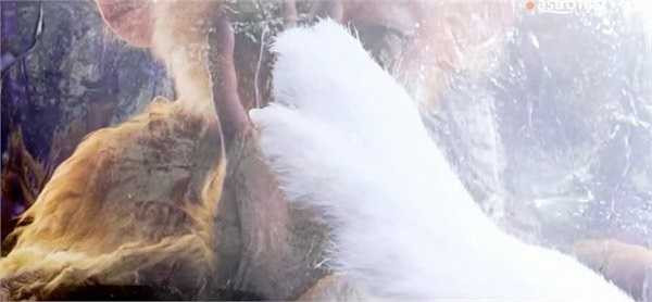 Bộ phim đại thắng mùa phim Tết vừa qua của ngôi sao võ thuật Chung Tử Đơn có những sai sót buồn cười bị khán giả tinh mắt nhận ra.