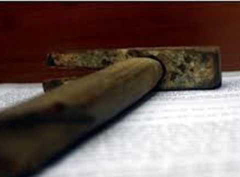 tâm thần, giết người, sát hại, mẹ ruột, dùng búa, đánh chết