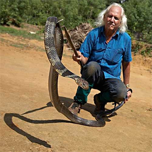 Western Ghats rộng tới 16 ngàn km2, gồm những cánh rừng bao bọc dãy núi chạy dọc bờ biển tây nam Ấn Độ. 