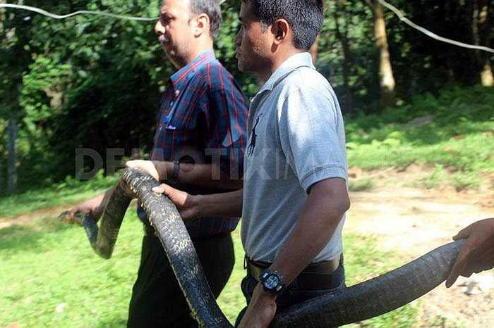 Western Ghats được UNESCO công nhận là di sản thiên nhiên thế giới, là vùng đất chưa từng bị con người xâm phạm. Có vô số loài vẫn chưa được khám phá ở đây.