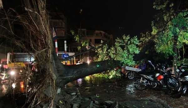 Thời tiết 12/7: Hà Nội đề phòng mưa dông lớn, gió giật mạnh