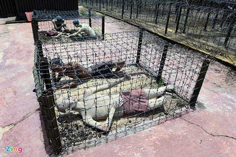 nhà tù Phú Quốc, tỉnh Kiên Giang, lính Mỹ, chiến sỹ cách mạng