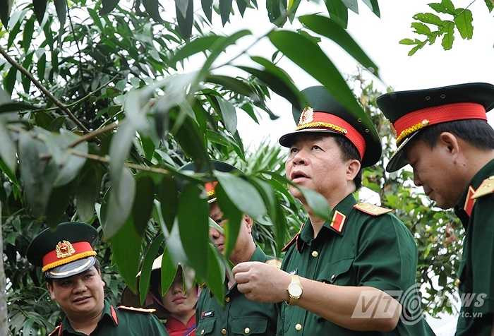 Trung tướng Nguyễn Trọng Vĩnh bên cạnh cây vừa trồng