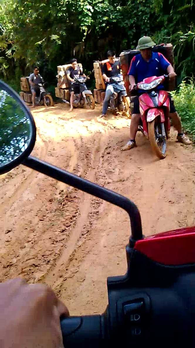 Rừng nghiến - 'máu' vẫn tuôn: Những chuyến nghiến 'bay'