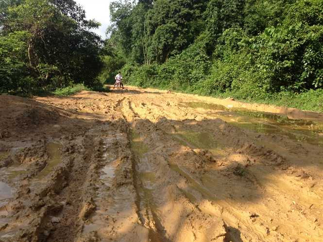 Rừng nghiến - 'máu' vẫn tuôn: Những chuyến nghiến 'bay'