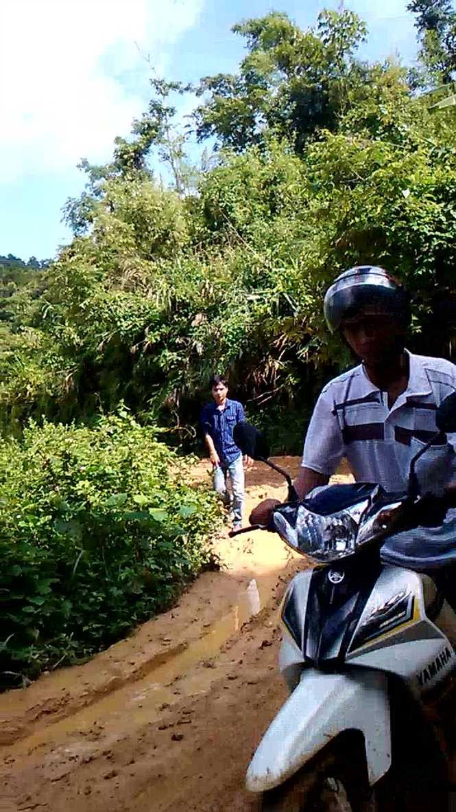 Rừng nghiến - 'máu' vẫn tuôn: Những chuyến nghiến 'bay'