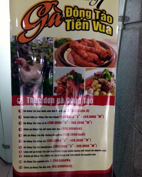 gà Đông tảo