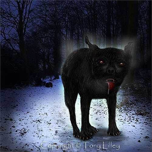 Các nhân chứng thời kỳ đó khẳng định rằng, loài chó ma cao hơn 2m, nặng khoảng 1 tạ.