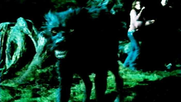 Hiện các nhà khoa học đang kiểm tra niên đại của bộ xương này thông qua phóng xạ cac-bon.