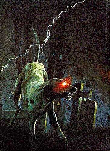 Người dân địa phương Anh tin rằng, chó ma là hiện thân của quỷ dữ. Nó được người dân địa phương gọi là Black Dog hay Padfoot.