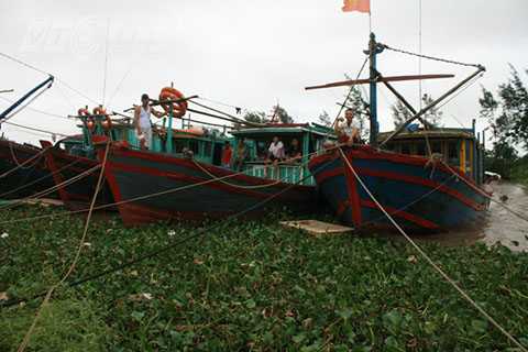 bão Thần Sấm, Hải Phòng, Quảng Ninh, Móng Cái, Bộ đội Biên phòng
