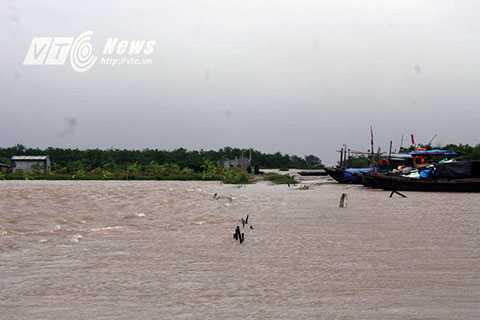 Thần Sấm, Hải Phòng, bão số 2, Phó Thủ tướng Chính phủ Hoàn Trung Hải