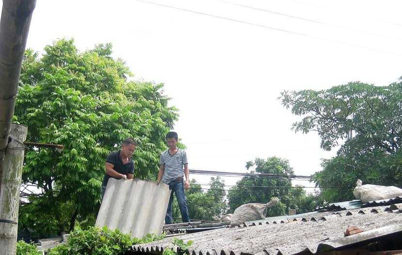 thái bình, bão thần sấm, bão số 2, bão rammasun, chằng chống nhà cửa, di dân