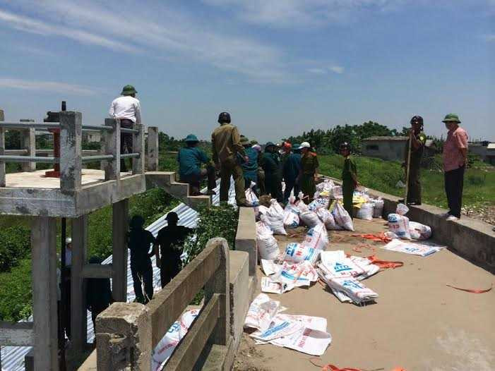 thái bình, bão thần sấm, bão số 2, bão rammasun, chằng chống nhà cửa, di dân