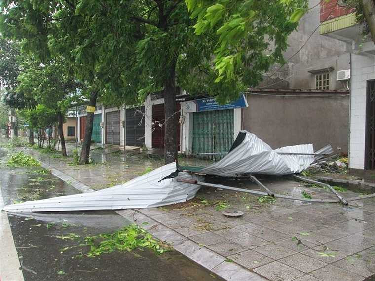 Bão Thần Sấm đánh tung mái nhà, lả tả như lá