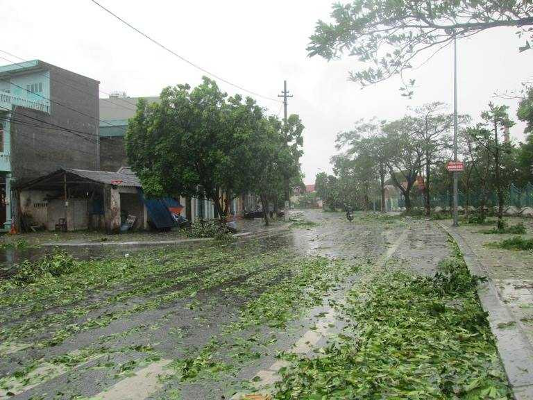 Bão Thần Sấm đánh tung mái nhà, lả tả như lá