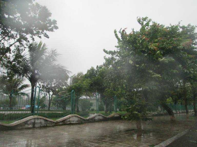 Bão Thần Sấm đánh tung mái nhà, lả tả như lá