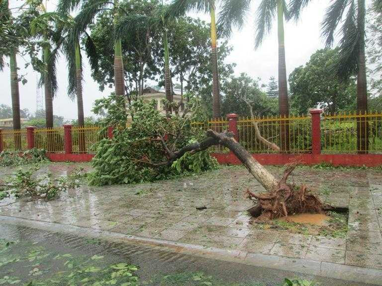 Bão Thần Sấm đánh tung mái nhà, lả tả như lá