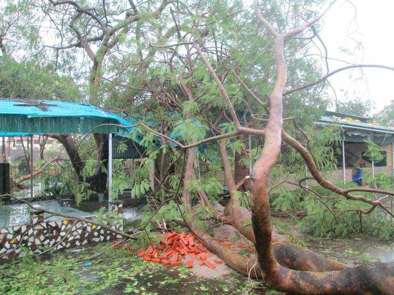 Bão Thần Sấm đánh tung mái nhà, lả tả như lá