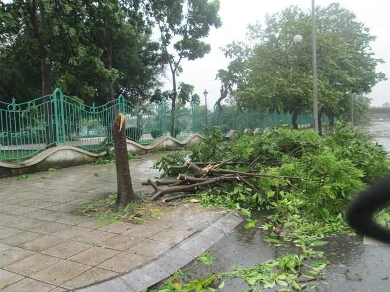 Bão Thần Sấm đánh tung mái nhà, lả tả như lá