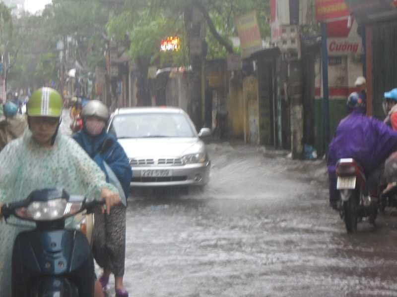 Bão Thần Sấm đánh tung mái nhà, lả tả như lá