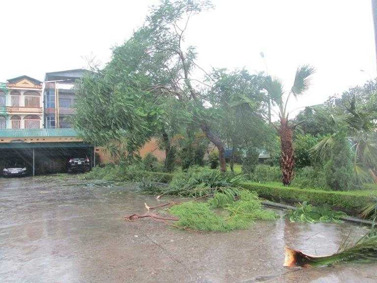 Bão Thần Sấm đánh tung mái nhà, lả tả như lá