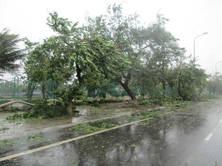 Bão Thần Sấm đánh tung mái nhà, lả tả như lá
