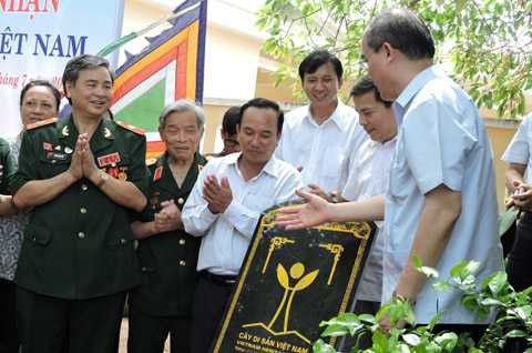 cây đa, Lý Sơn, cây di sản, công nhận, cổ thụ, trăm năm tuổi