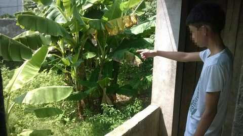 giết chồng, ám ảnh, kinh hoàng, theo trai, hư hỏng