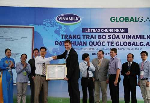 Trang trại bò sữa đầu tiên tại Đông Nam Á được Global G.A.P chứng nhận đạt tiêu chuẩn quốc tê.