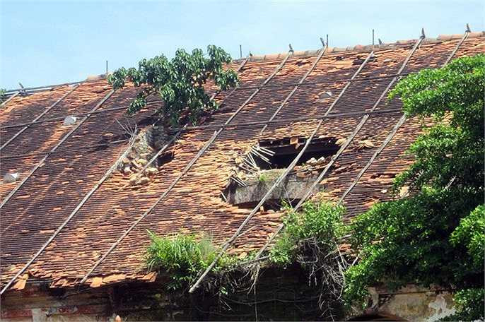 Mái ngói thủng nhiều mảng lớn