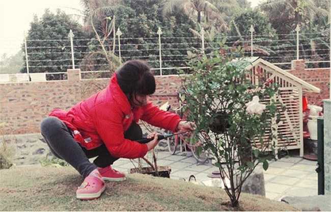 Vườn cây cảnh được các con của nam ca sỹ chăm sóc kỹ.