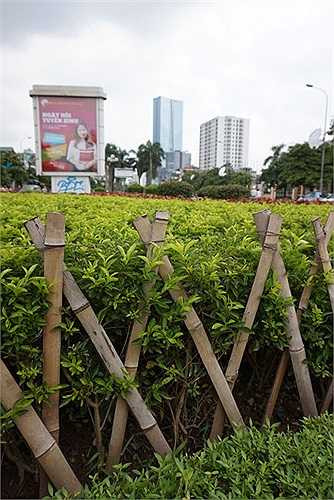 Giống như cách rào vườn chốn thôn quê.