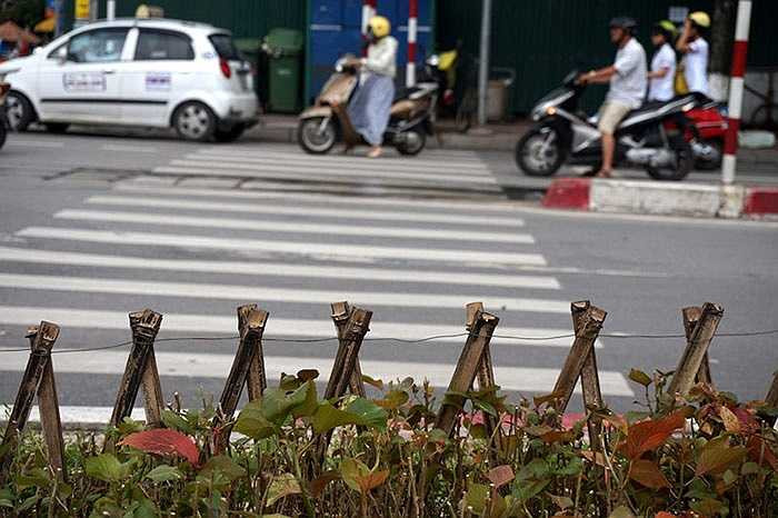 Các thanh nứa được buộc lại với nhau bằng dây thép.