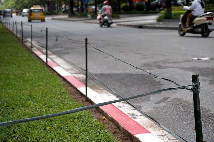 Dải phân cách trên đường Trần Đăng Ninh được quây bằng cọc tre và dây nilon.