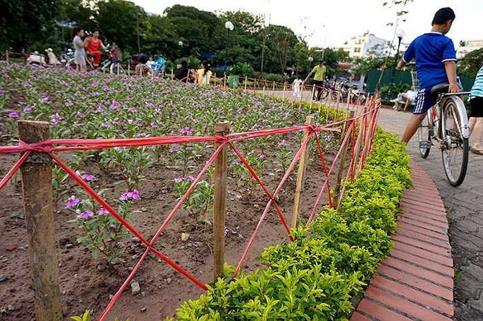 Sợi dây nilon thường dùng buộc hàng hóa được chăng khá cầu kỳ.